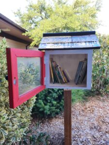 Photo of Pollywog's free little library with door open and books visible inside