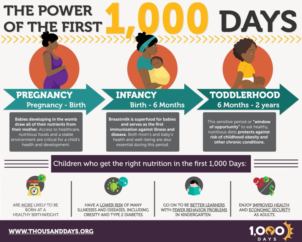 First 1000 days infographic